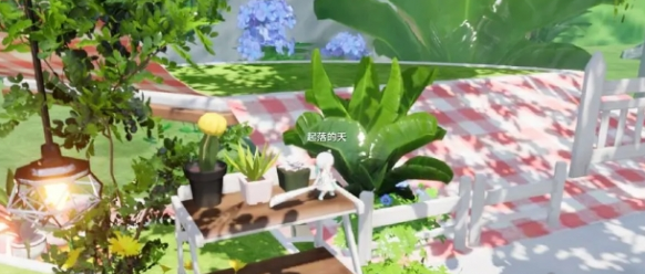 仙人掌盆栽附近